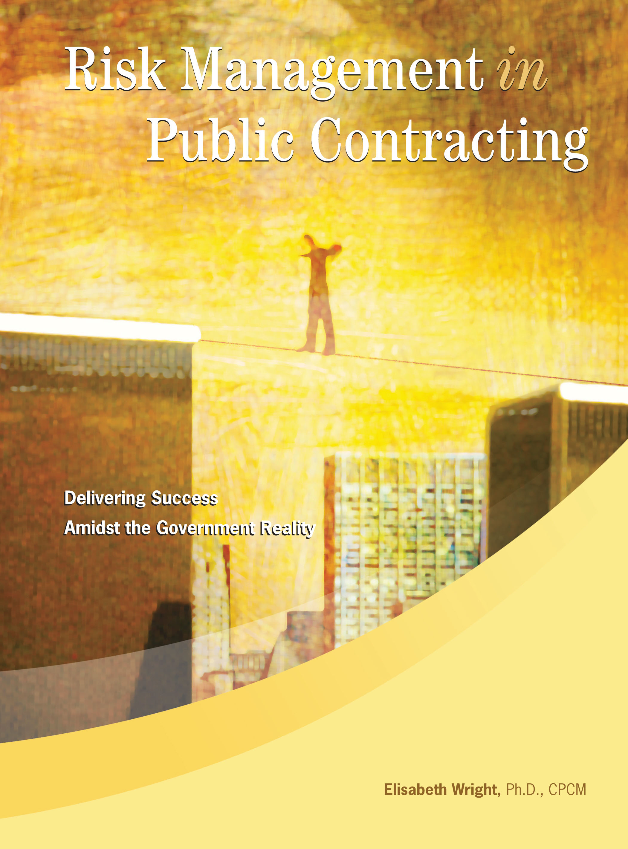 eBook Risk Management in Public Contracting